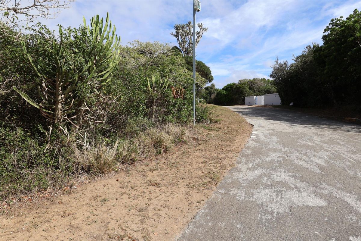 A view of the street frontage and natural vegetation bordering the vacant residential land.