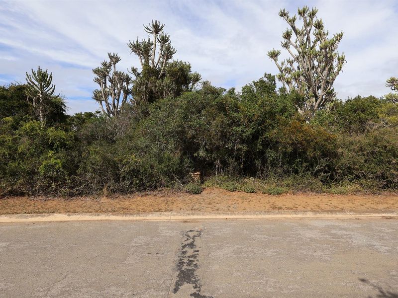 A view of a vacant residential plot from the street, featuring dense natural vegetation and established trees.
