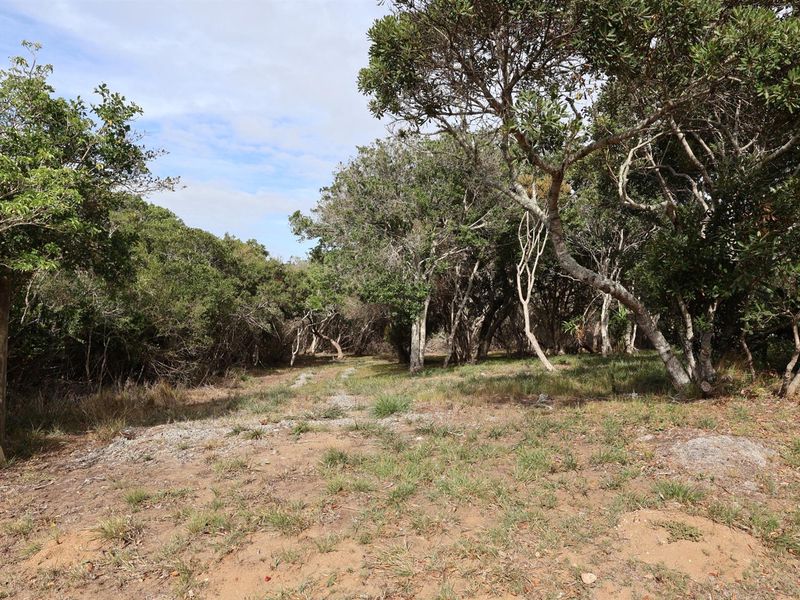Vacant Land on the Peninsula in Kleinemonde - Photo 5