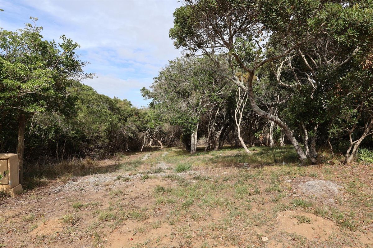 Vacant Land on the Peninsula in Kleinemonde - Photo 5