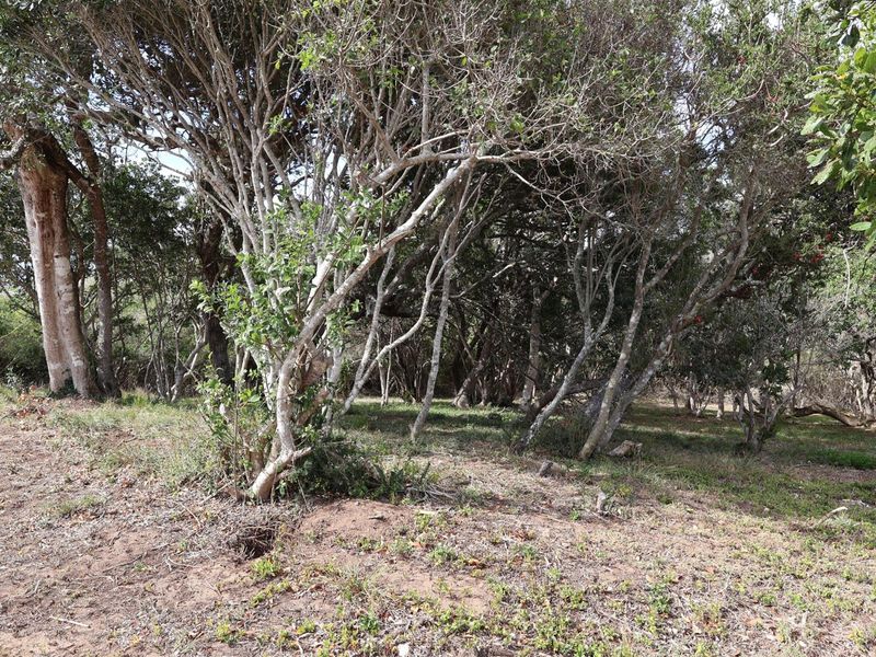 Vacant Land on the Peninsula in Kleinemonde - Photo 6