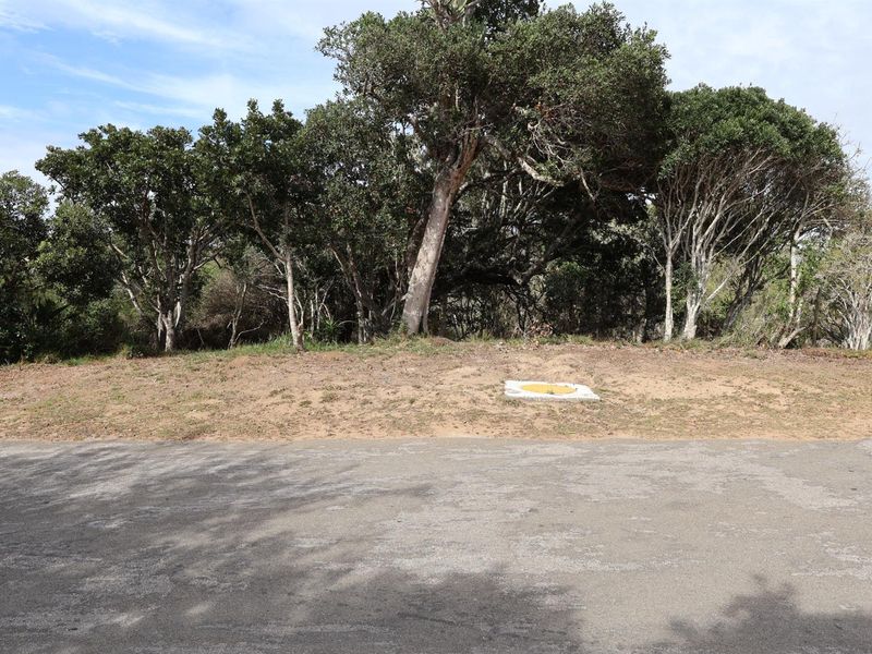 Vacant Land on the Peninsula in Kleinemonde - Photo 4