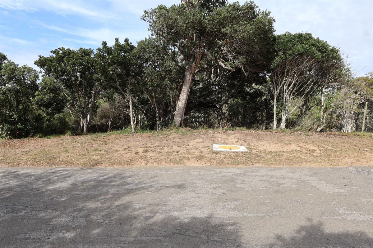 Vacant Land on the Peninsula in Kleinemonde - Photo 4