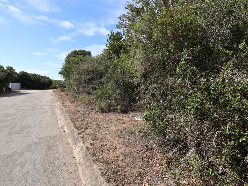 A view of the street frontage and verge adjacent to the vacant residential land, featuring established coastal vegetation and a paved road.