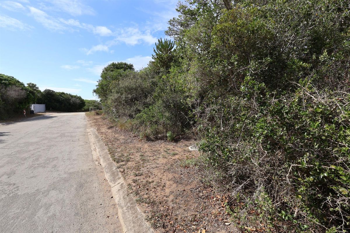 A view of the street frontage and verge adjacent to the vacant residential land, featuring established coastal vegetation and a paved road.