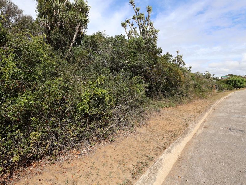 A view of the street frontage and verge adjacent to the vacant residential land, featuring established coastal vegetation.