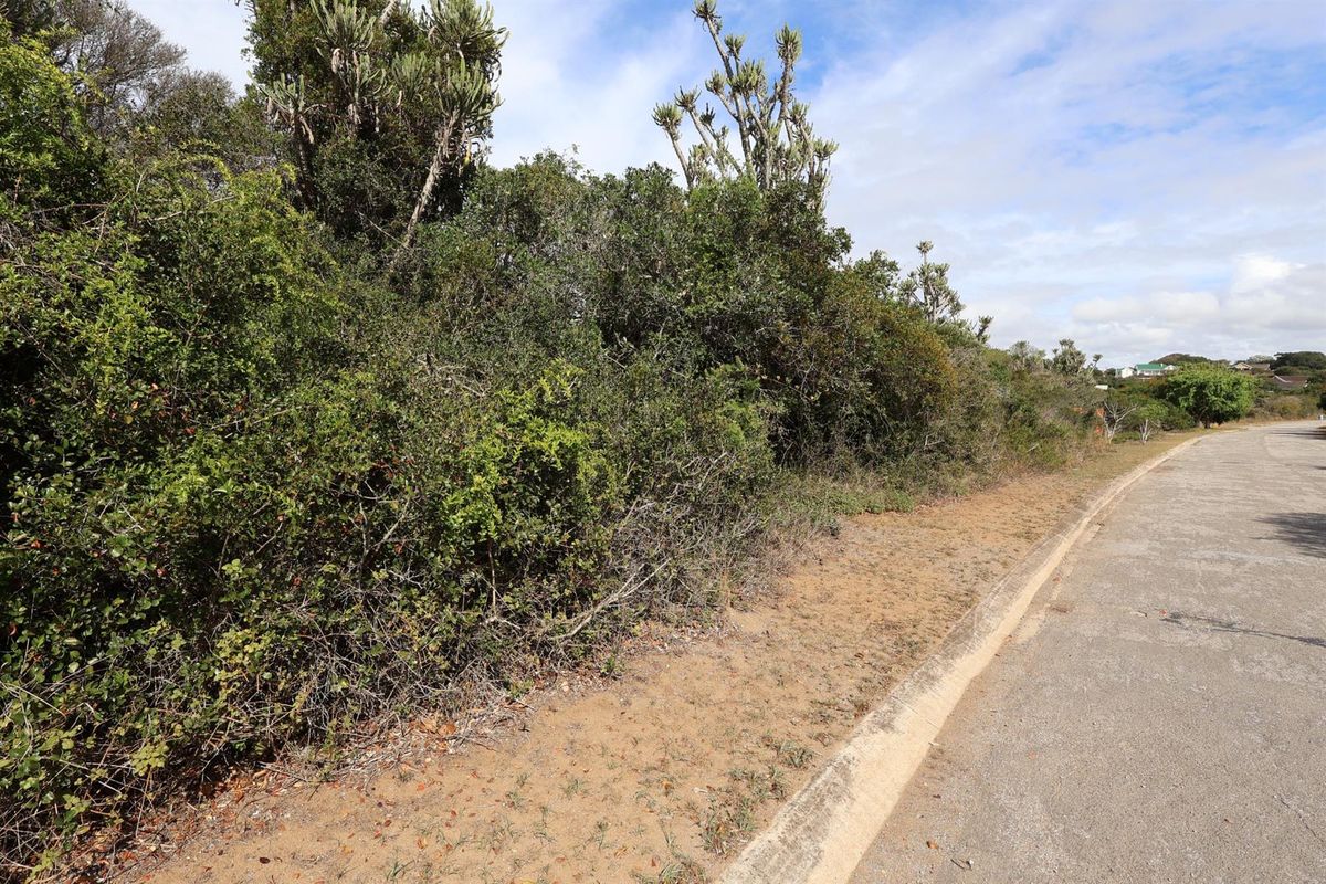 A view of the street frontage and verge adjacent to the vacant residential land, featuring established coastal vegetation.