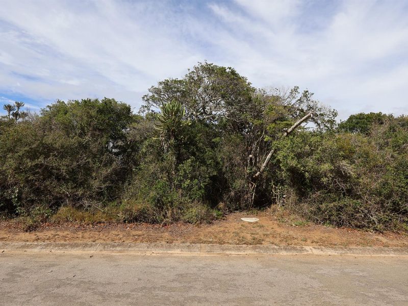 A vacant residential plot featuring established indigenous vegetation and a street-level view, offering a natural setting for future development.
