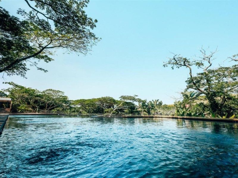 Invest in the Future of Luxury Living - Photo 10