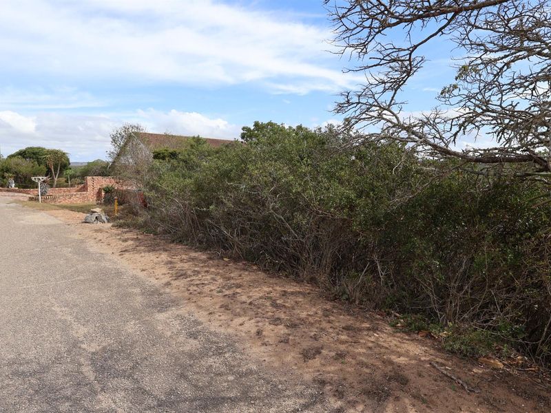 A view of the street frontage and natural vegetation bordering the vacant residential land.