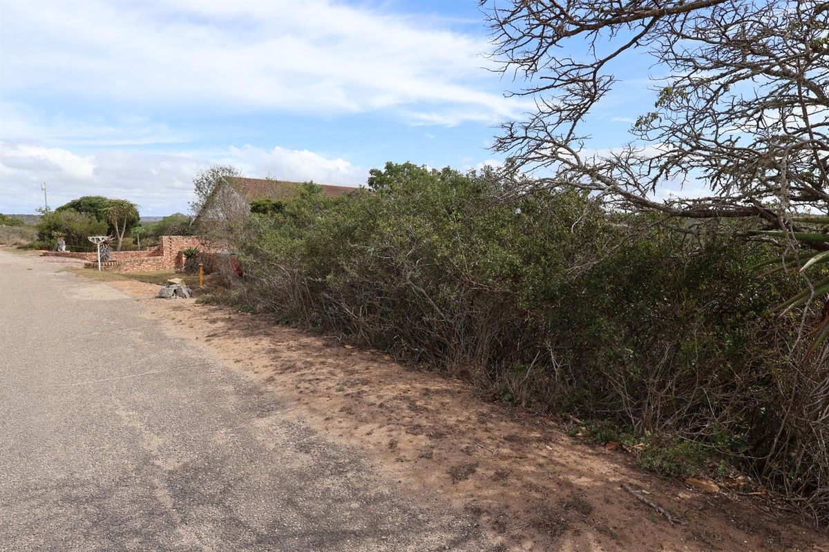 A view of the street frontage and natural vegetation bordering the vacant residential land.