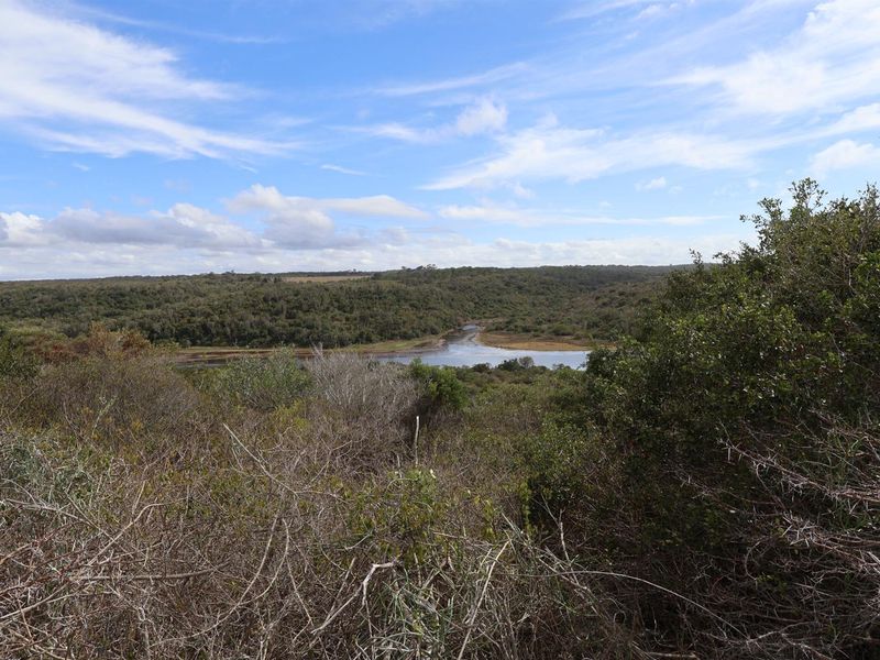 A scenic view overlooking a natural landscape with dense vegetation and a winding river or estuary in the distance.