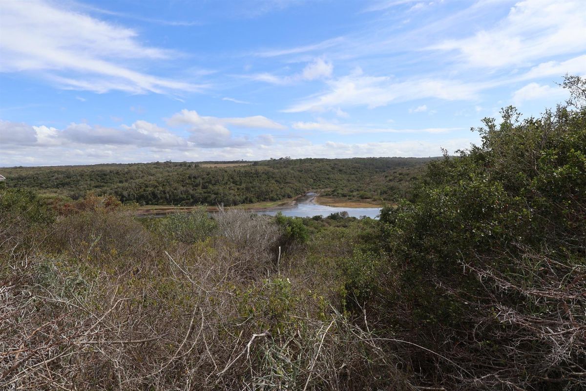 A scenic view overlooking a natural landscape with dense vegetation and a winding river or estuary in the distance.