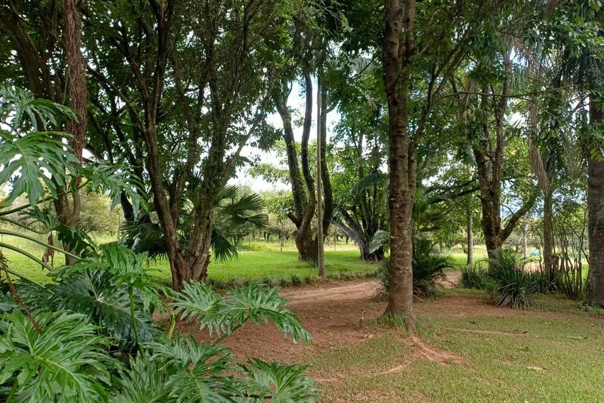 ±116.2235 Ha Macadamia Lifestyle Farm - 4 Portions, 14000+ Trees, Water Infrastructure and Farmhouse - Photo 3