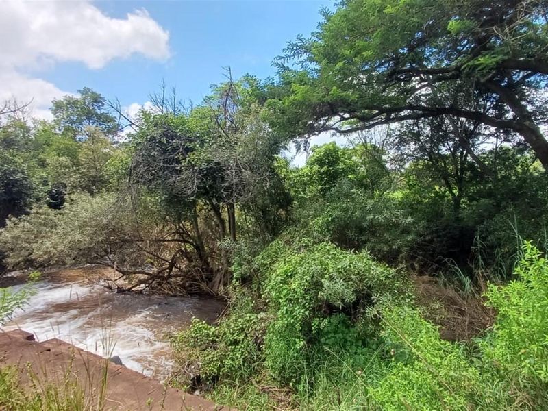 ±116.2235 Ha Macadamia Lifestyle Farm - 4 Portions, 14000+ Trees, Water Infrastructure and Farmhouse - Photo 2