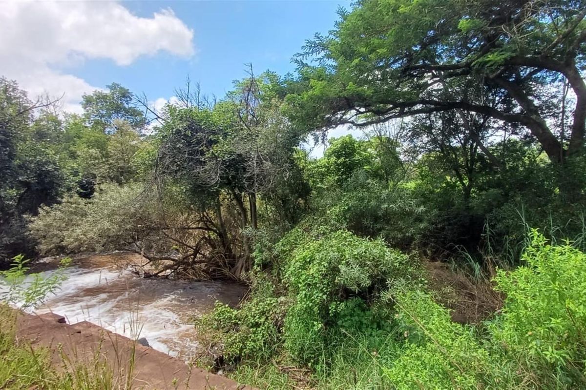 ±116.2235 Ha Macadamia Lifestyle Farm - 4 Portions, 14000+ Trees, Water Infrastructure and Farmhouse - Photo 2