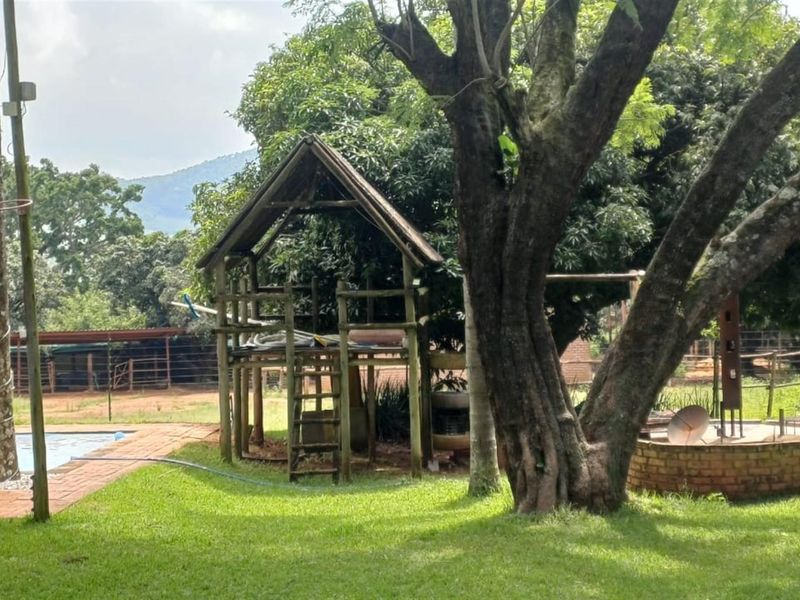 ±116.2235 Ha Macadamia Lifestyle Farm - 4 Portions, 14000+ Trees, Water Infrastructure and Farmhouse - Photo 4