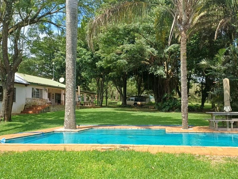 ±116.2235 Ha Macadamia Lifestyle Farm - 4 Portions, 14000+ Trees, Water Infrastructure and Farmhouse - Photo 8