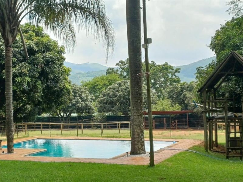 ±116.2235 Ha Macadamia Lifestyle Farm - 4 Portions, 14000+ Trees, Water Infrastructure and Farmhouse - Photo 6