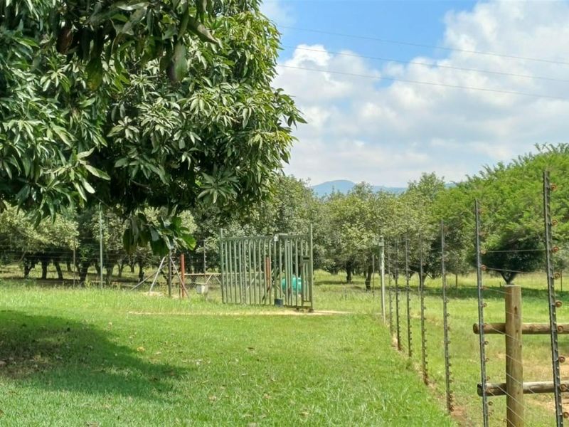 ±116.2235 Ha Macadamia Lifestyle Farm - 4 Portions, 14000+ Trees, Water Infrastructure and Farmhouse - Photo 5