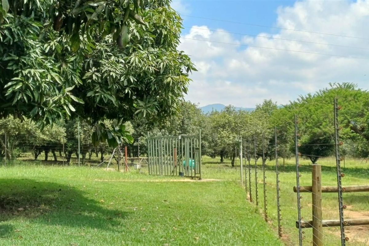±116.2235 Ha Macadamia Lifestyle Farm - 4 Portions, 14000+ Trees, Water Infrastructure and Farmhouse - Photo 5