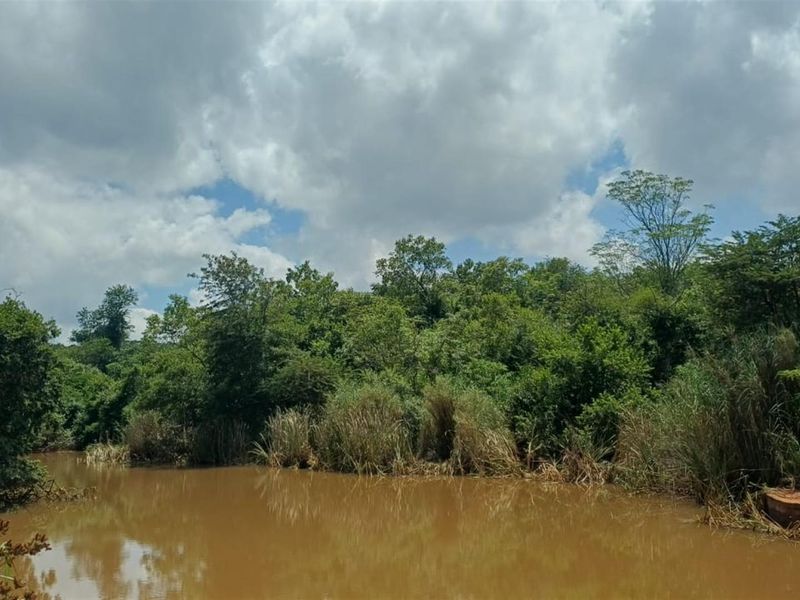 Portion 31 - 75.9Ha High Potential Farmland with 7,000 Macadamia Trees. - Photo 4
