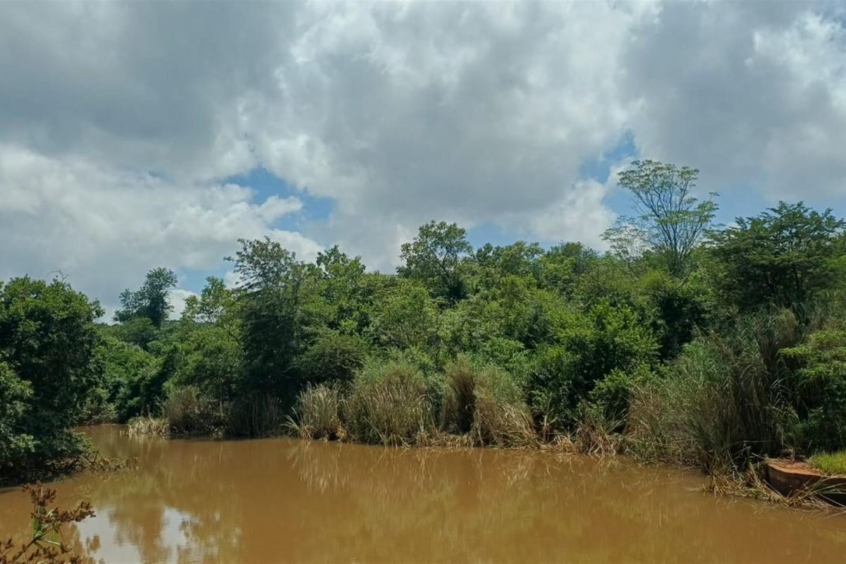 Portion 31 - 75.9Ha High Potential Farmland with 7,000 Macadamia Trees. - Photo 4