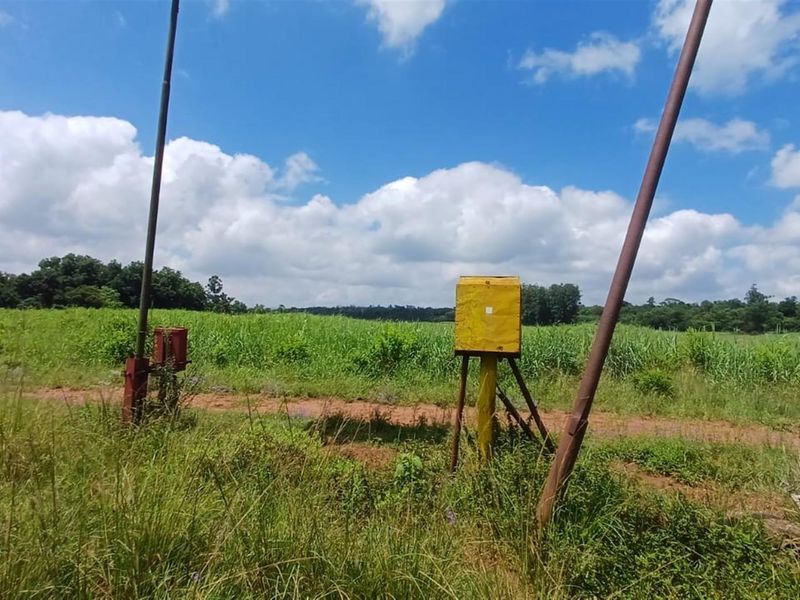 Portion 31 - 75.9Ha High Potential Farmland with 7,000 Macadamia Trees. - Photo 7