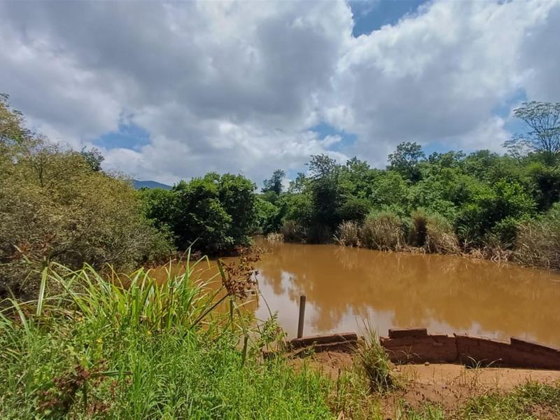 Portion 31 - 75.9Ha High Potential Farmland with 7,000 Macadamia Trees. - Photo 8