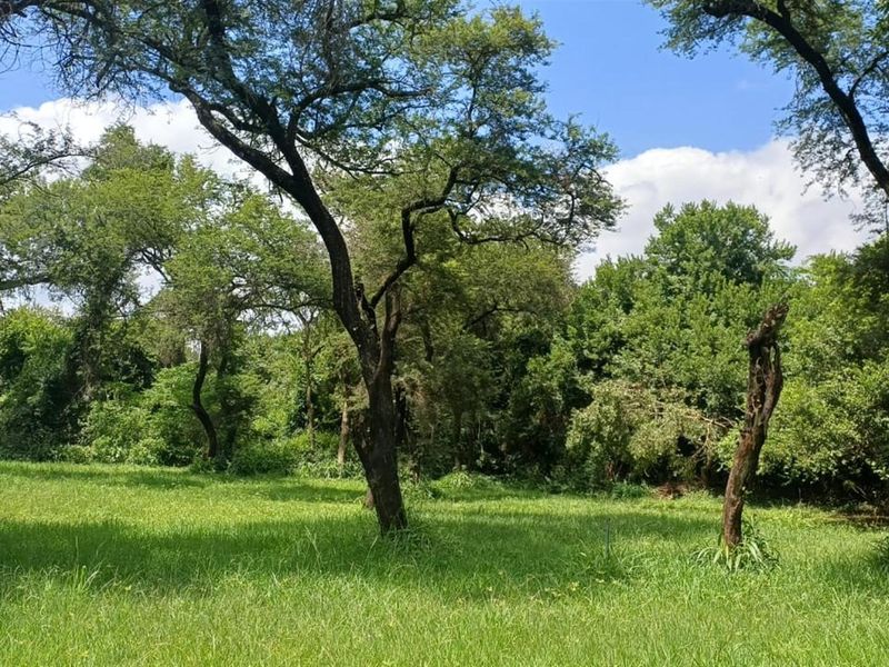 Portion 31 - 75.9Ha High Potential Farmland with 7,000 Macadamia Trees. - Photo 10