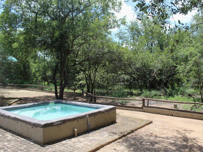 Bush Living, with Income Potential Near the Crocodile River! - Photo 7