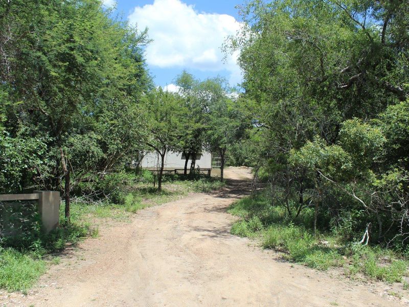 Bush Living, with Income Potential Near the Crocodile River! - Photo 4