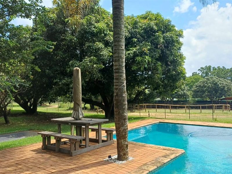 ±40.2896 Ha Macadamia and Lifestyle Farm - Farmhouse, ±7000 Trees, Boreholes and Stables - Photo 6
