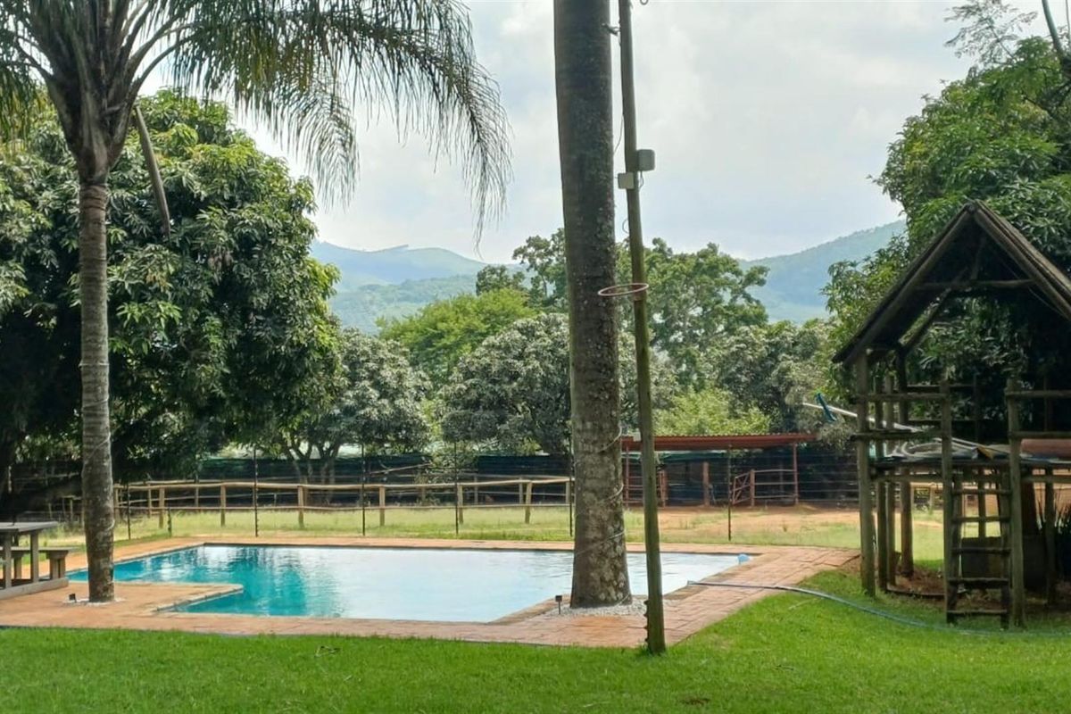 ±40.2896 Ha Macadamia and Lifestyle Farm - Farmhouse, ±7000 Trees, Boreholes and Stables - Photo 5