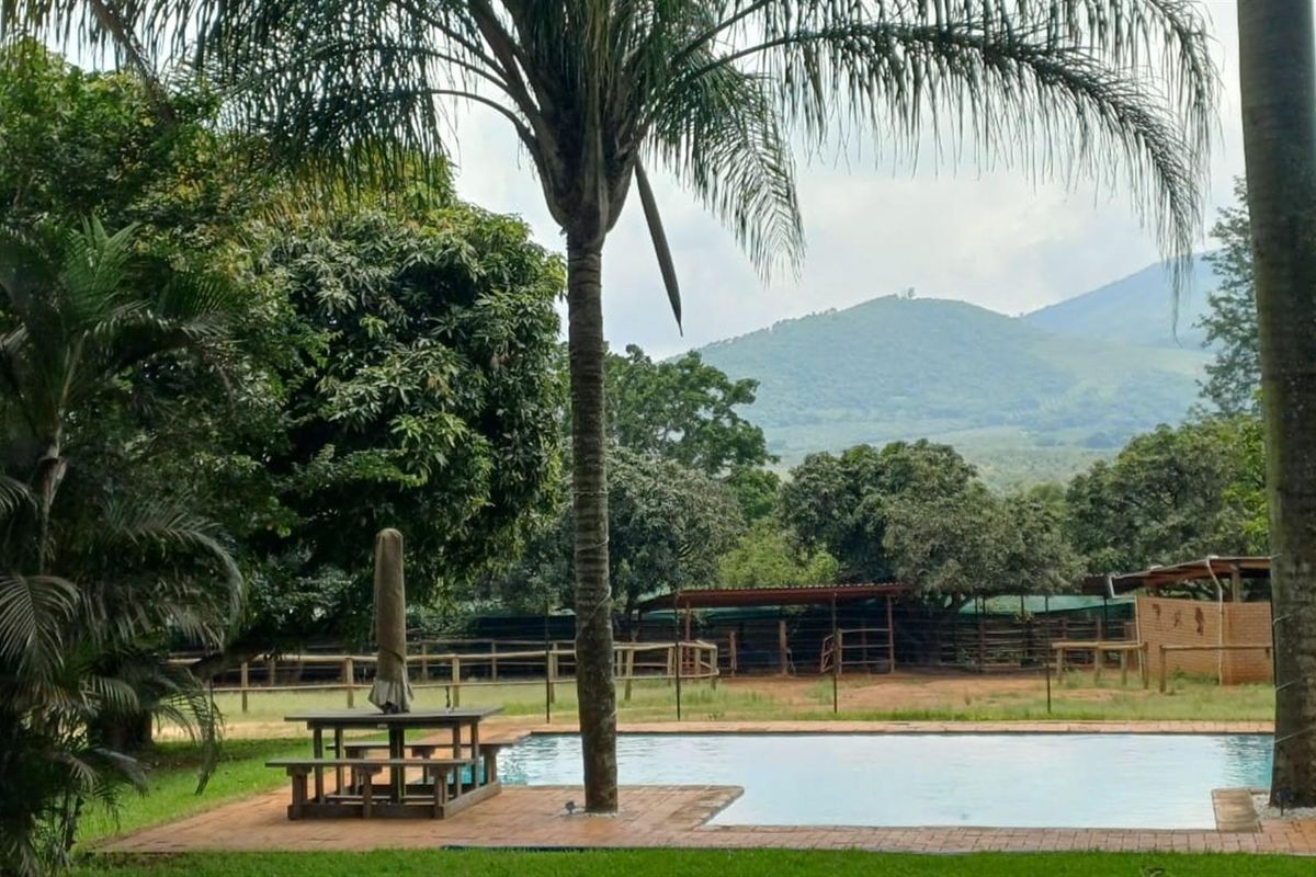 ±40.2896 Ha Macadamia and Lifestyle Farm - Farmhouse, ±7000 Trees, Boreholes and Stables - Photo 4