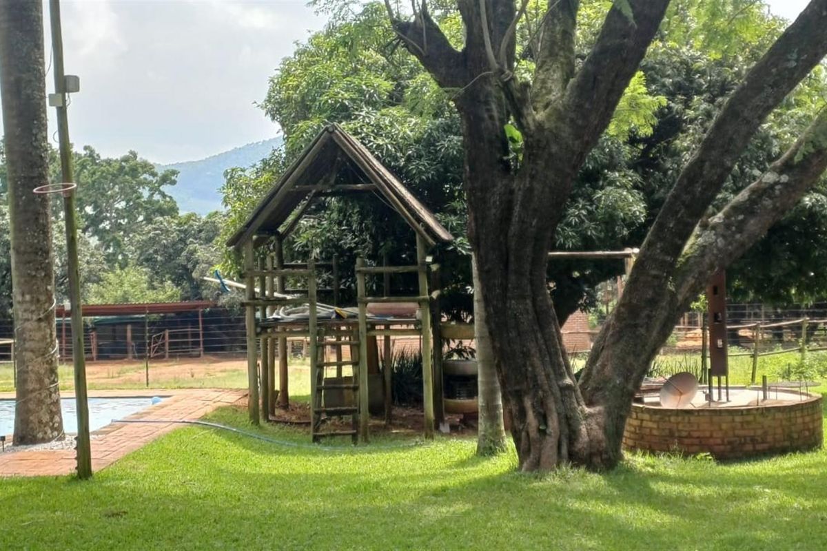 ±40.2896 Ha Macadamia and Lifestyle Farm - Farmhouse, ±7000 Trees, Boreholes and Stables - Photo 2