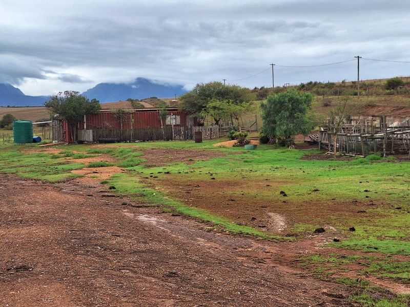 Farm For Sale in Riversdale - Photo 7