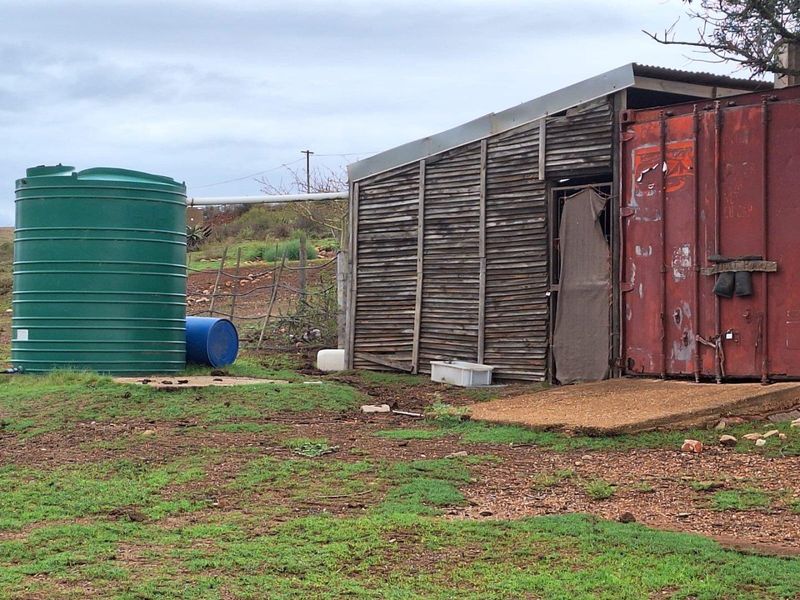 Farm For Sale in Riversdale - Photo 10