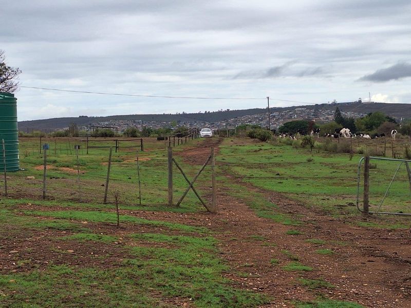 Farm For Sale in Riversdale - Photo 8