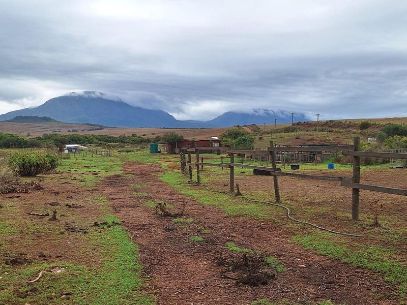 Farm For Sale in Riversdale - Photo 6