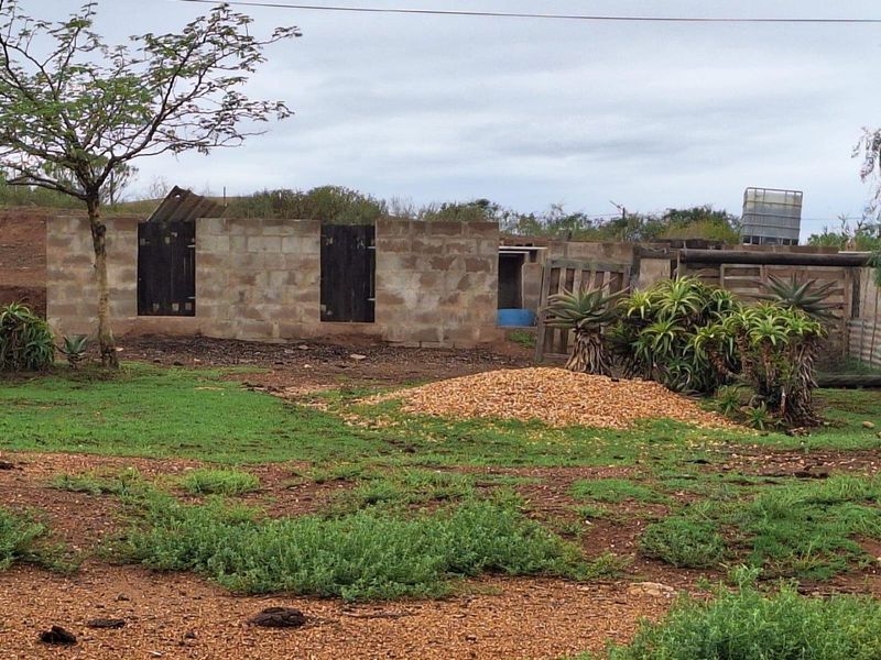 Farm For Sale in Riversdale - Photo 9