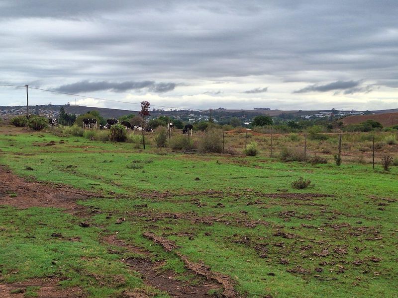 Farm For Sale in Riversdale - Photo 3