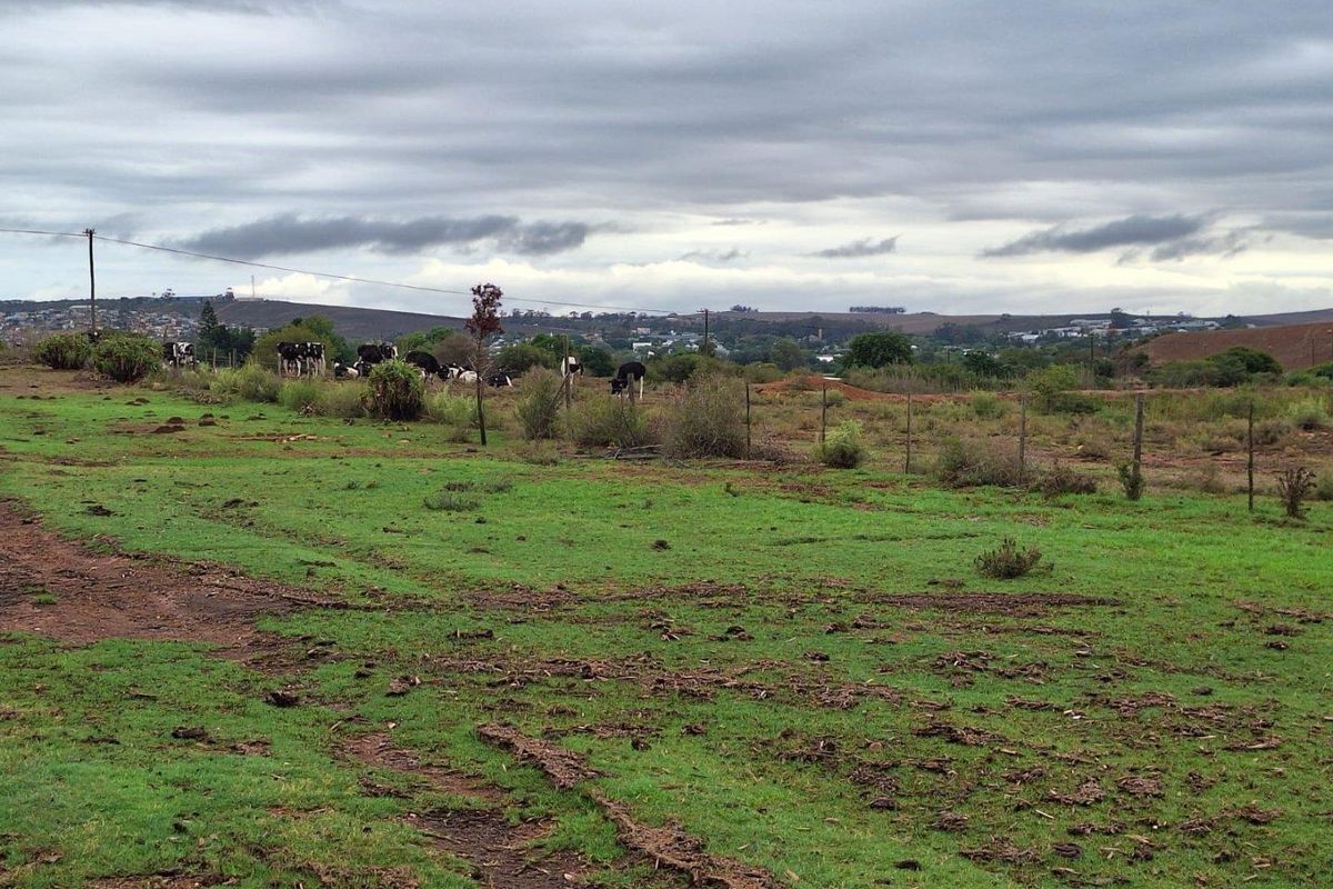 Farm For Sale in Riversdale - Photo 3