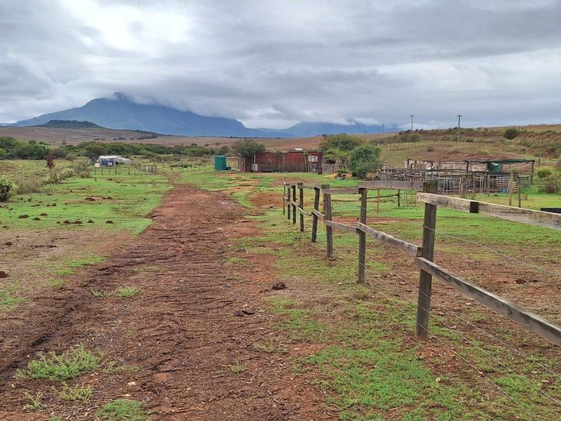 Farm For Sale in Riversdale - Photo 5