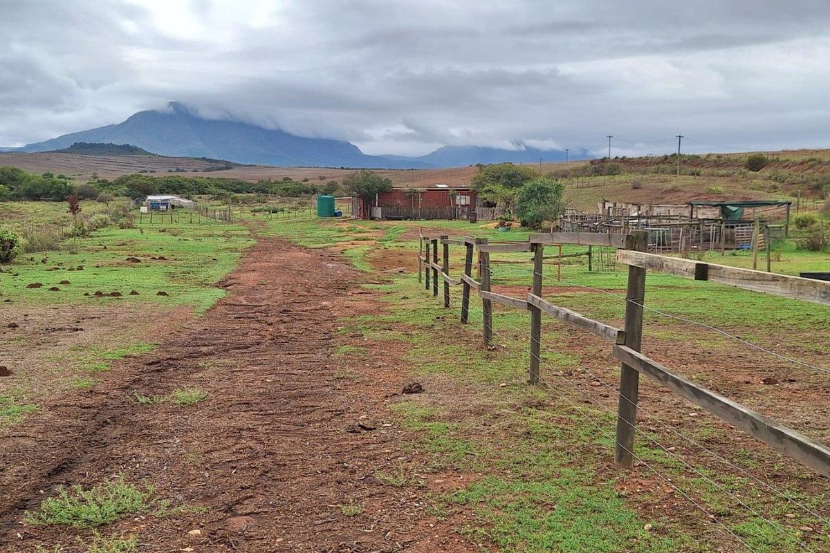 Farm For Sale in Riversdale - Photo 5