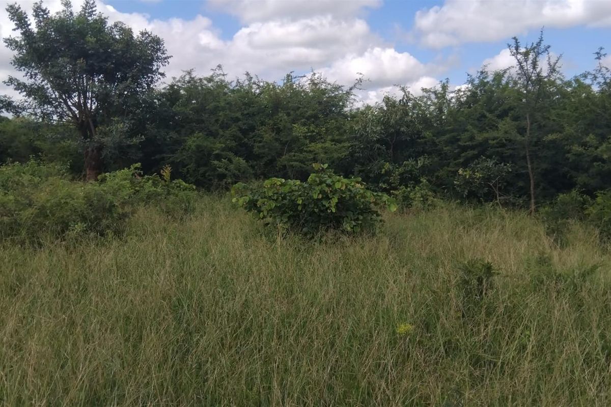 Farm For Sale in Dididi, Thohoyandou Rural, Dididi - Photo 4