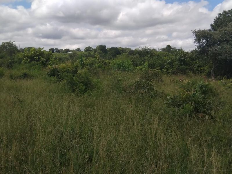 Farm For Sale in Dididi, Thohoyandou Rural, Dididi - Photo 2