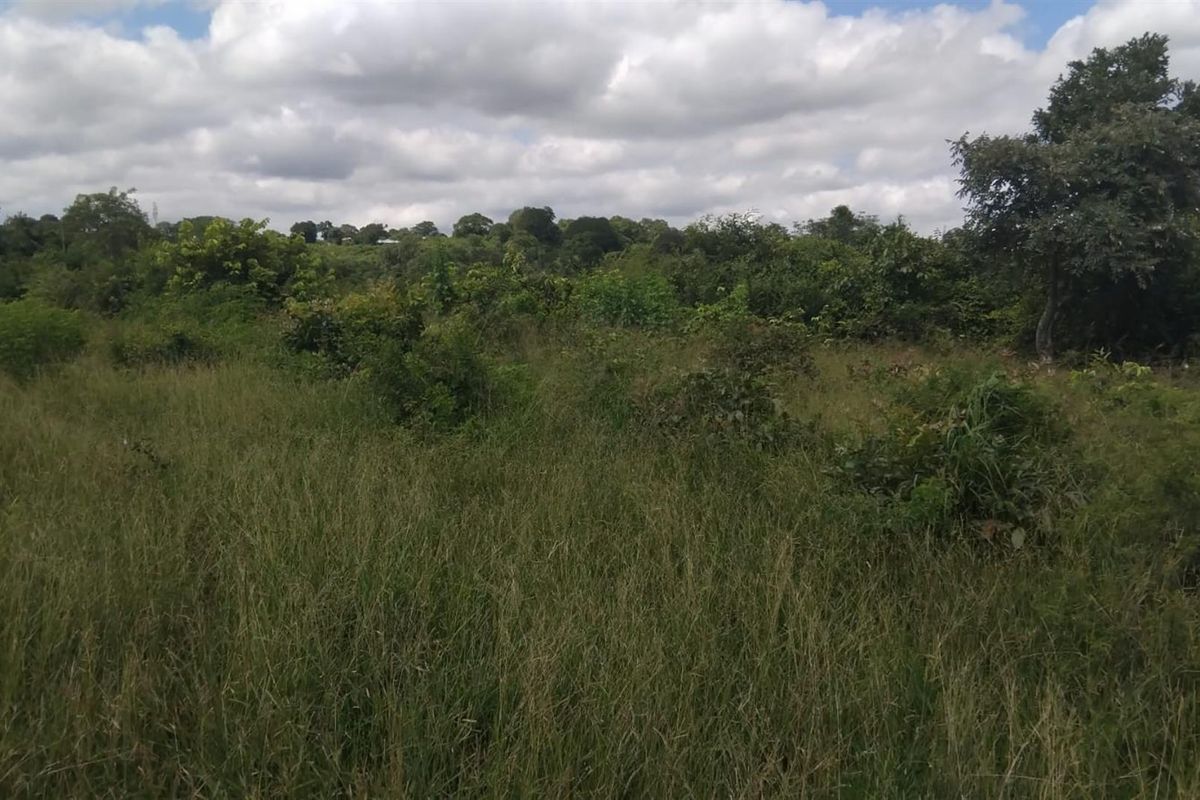 Farm For Sale in Dididi, Thohoyandou Rural, Dididi - Photo 2