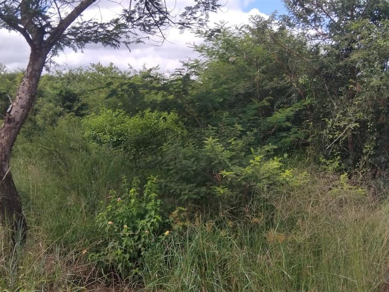 Farm For Sale in Dididi, Thohoyandou Rural, Dididi - Photo 7