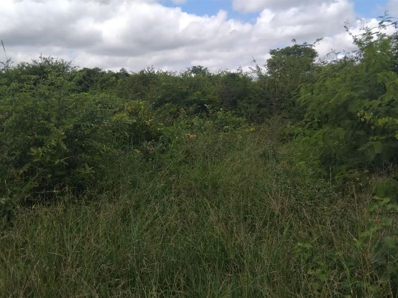 Farm For Sale in Dididi, Thohoyandou Rural, Dididi - Photo 3